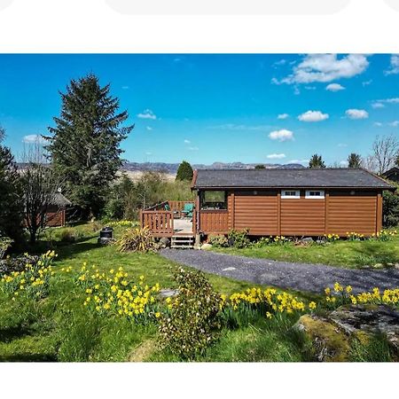 Cosy Cabin In Snowdonia With Views Wi-Fi Dog Friendly & Parking Trawsfynydd Exterior photo