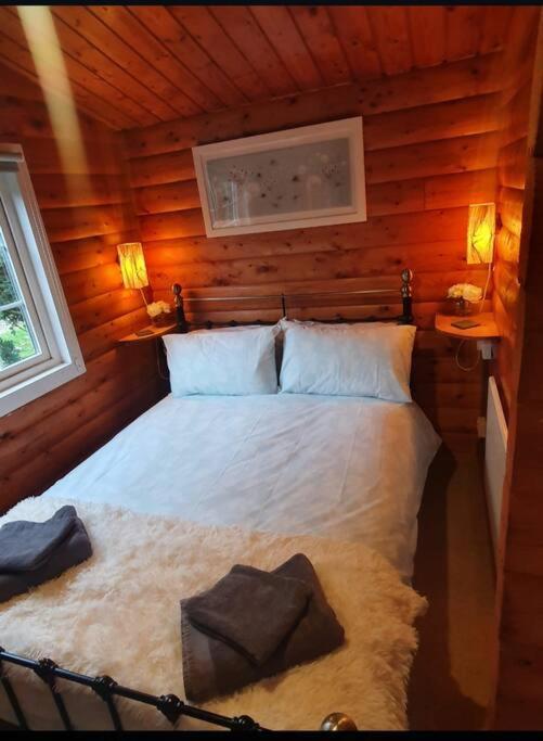Cosy Cabin In Snowdonia With Views Wi-Fi Dog Friendly & Parking Trawsfynydd Exterior photo
