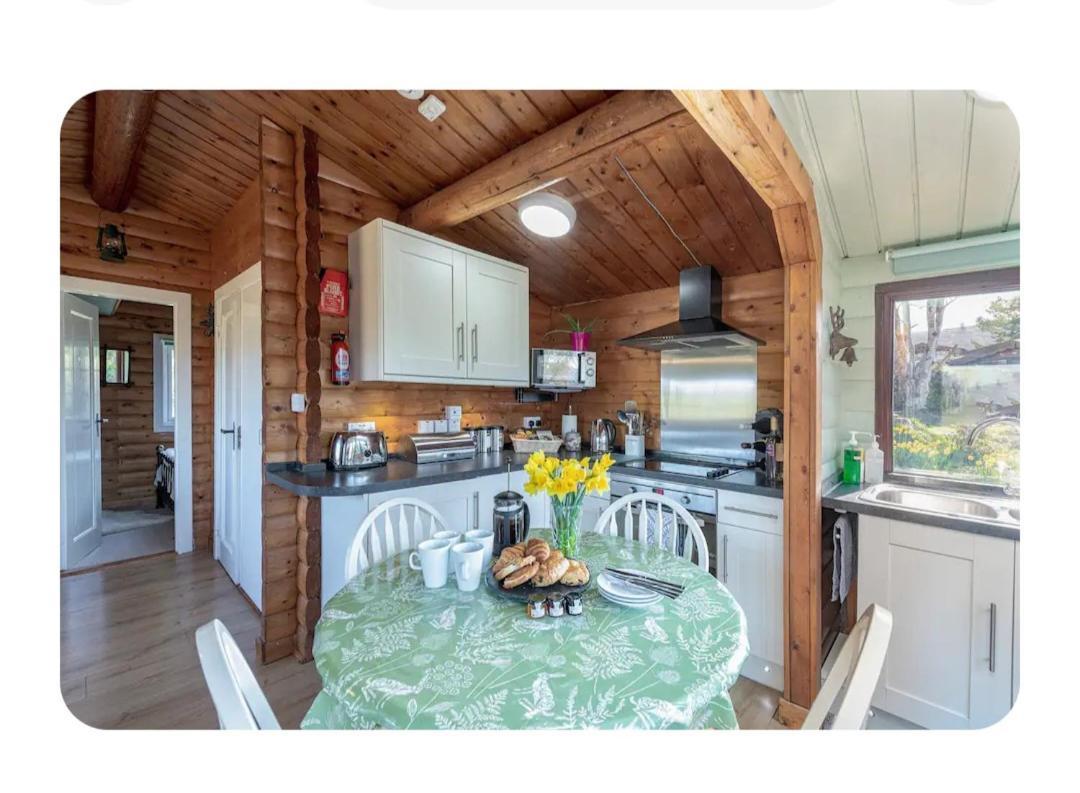 Cosy Cabin In Snowdonia With Views Wi-Fi Dog Friendly & Parking Trawsfynydd Exterior photo