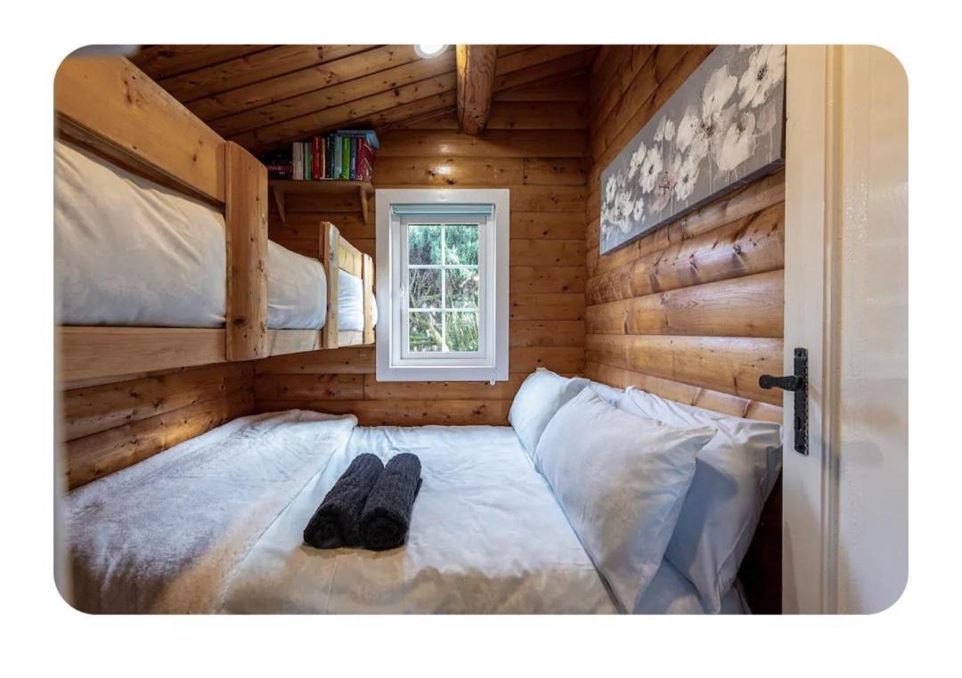 Cosy Cabin In Snowdonia With Views Wi-Fi Dog Friendly & Parking Trawsfynydd Exterior photo